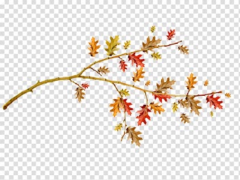 Autumn First day of school Portable Network Graphics, autumn tree branch transparent background PNG clipart