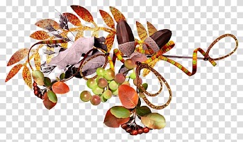 Autumn Flower Season 12.05.2018, autumn transparent background PNG clipart