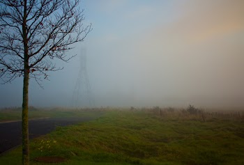          Autumn Fog Free Photo     