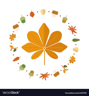 Autumn foliage composition in circle shape vector image