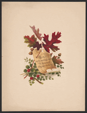 autumn foliage, oak leaves with acorns, | Free Photo - rawpixel
