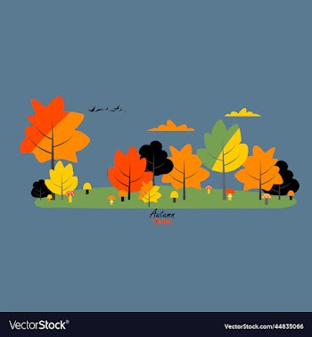 autumn forest image of autumn trees bright