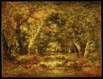 Autumn, Forest Interior. Original from the Minneapolis | Free Photo - rawpixel