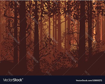 Autumn Forest Landscape vector image