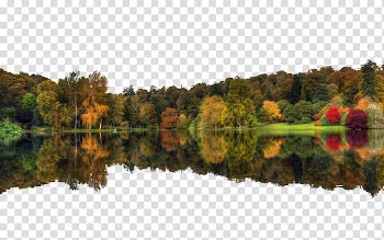 Autumn forest reflection figure transparent background PNG clipart