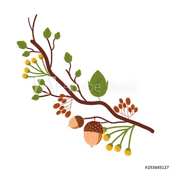 autumn fruit dry with leafs seasonal icon