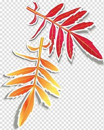 Autumn Golf , Autumn leaves design elements transparent background PNG clipart