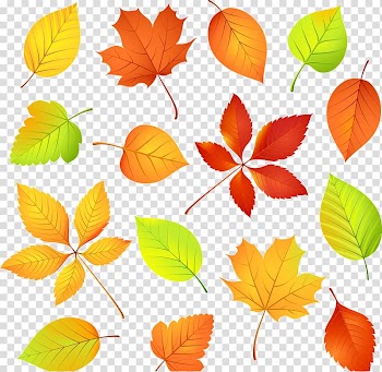 Autumn graphics Illustration Leaf, autumn transparent background PNG clipart