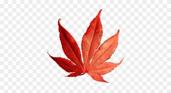 Autumn Graphics Png, Leaves Of Autumn Png, Fall Clipart - Leaf Png Clipart Red