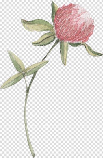 Autumn Harvest Holiday Watercolor painting, lily of the valley transparent background PNG clipart