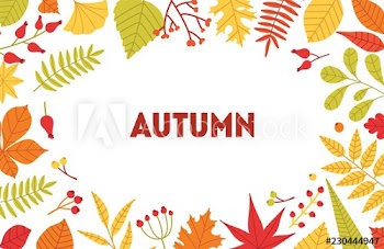 Autumn horizontal background with frame made of fallen tree leaves and berries on white background