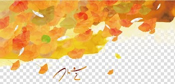 Autumn Illustration, autumn leaves transparent background PNG clipart