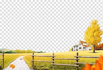 Autumn Illustration, Autumn transparent background PNG clipart