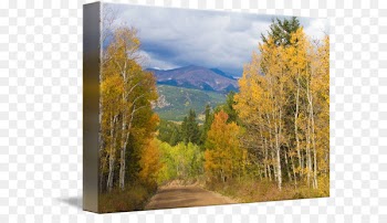 Autumn In The Mountains Temperate broadleaf and mixed forest Biome - autumn price to 