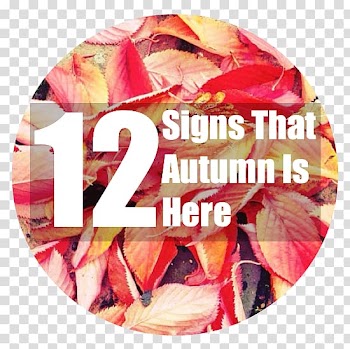 Autumn Is Here! Signage Child Blog, autumn girl transparent background PNG clipart