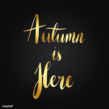 Autumn is here typography style vector | Free stock vector - 517567