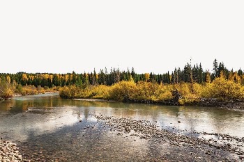 Autumn lake forest border, aesthetic | Free PSD - rawpixel