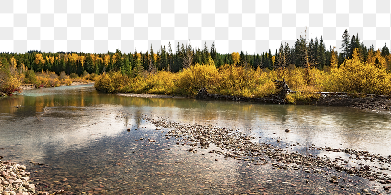 Autumn lake png forest border, | Free PNG - rawpixel