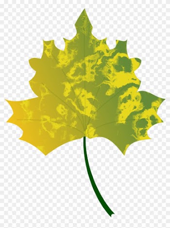 Autumn Leaf 1 - Autumn Leaf 1