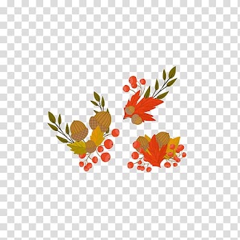 Autumn Leaf , Autumn leaf decoration material transparent background PNG clipart