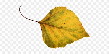 Autumn Leaf Autumn Leaf - Hallan