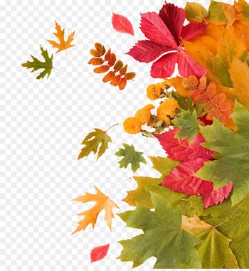 Autumn Leaf - Autumn leaves decoration 