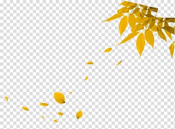 Autumn Leaf, Autumn leaves transparent background PNG clipart