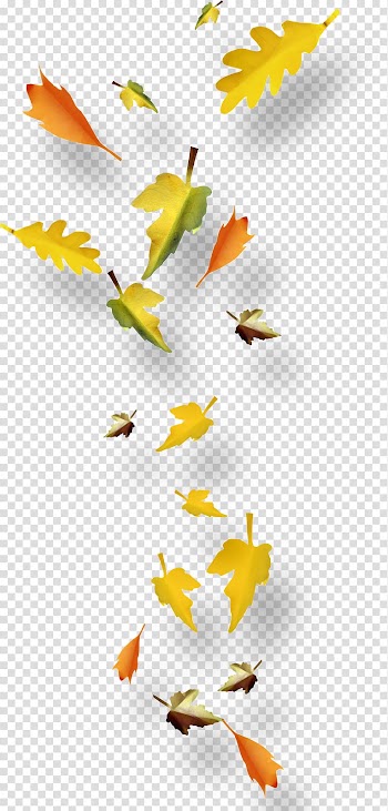 Autumn Leaf , autumn transparent background PNG clipart