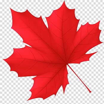 Autumn Leaf Canada , autumn transparent background PNG clipart