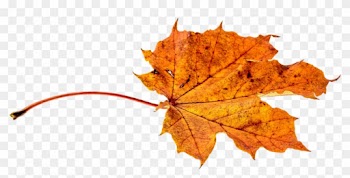 Autumn Leaf Clipart 27, - Autumn Leaf Transparent
