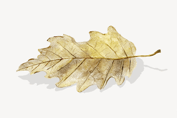 Autumn leaf collage element psd | Free PSD Illustration - rawpixel