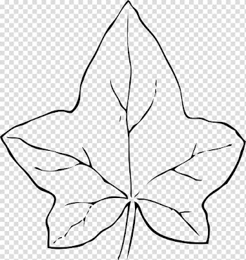 Autumn leaf color , acorn squash transparent background PNG clipart