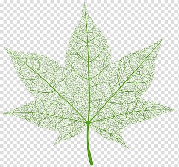 Autumn leaf color , autumn leaf border transparent background PNG clipart
