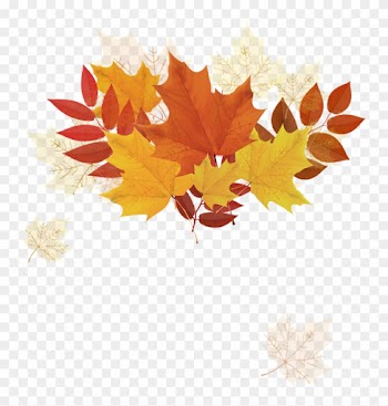 Autumn Leaf Color - Autumn Leaf Color