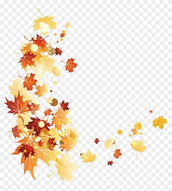 Autumn Leaf Color - Autumn Leaf Color