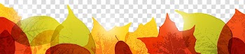 Autumn leaf color Autumn leaf color, autumn leaves transparent background PNG clipart