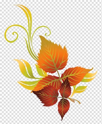 Autumn leaf color Autumn leaf color , autumn leaves transparent background PNG clipart