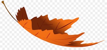 Autumn leaf color Autumn leaf color Clip art - autumn leaves 