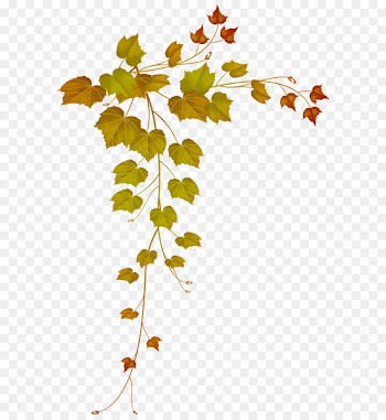 Autumn leaf color Autumn leaf color Maple leaf - Fall Decorative Leaves PNG Image 