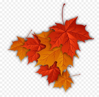 Autumn leaf color Autumn leaf color Maple leaf - Maple Leaf 