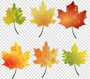 Autumn leaf color Autumn leaf color , WATERCOLOR LEAF transparent background PNG clipart