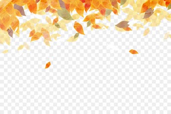 Autumn leaf color Autumn leaf color Watercolor painting - Beautiful watercolor autumn leaves 