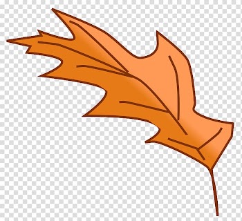 Autumn leaf color , Autumn Leaf transparent background PNG clipart