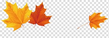 Autumn leaf color , Autumn leaves transparent background PNG clipart