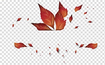 Autumn leaf color , Autumn leaves transparent background PNG clipart
