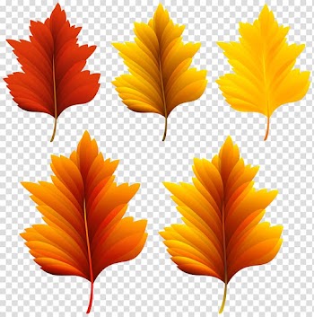 Autumn leaf color , autumn leaves transparent background PNG clipart