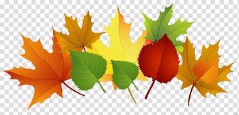 Autumn leaf color , autumn leaves transparent background PNG clipart