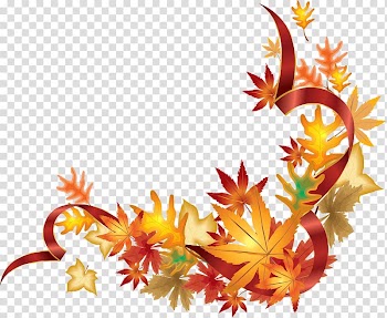 Autumn leaf color, autumn transparent background PNG clipart