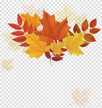 Autumn leaf color, autumn transparent background PNG clipart