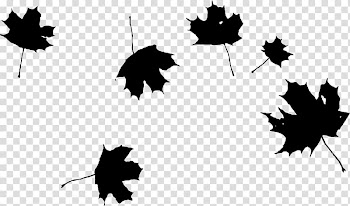 Autumn leaf color , autumn transparent background PNG clipart